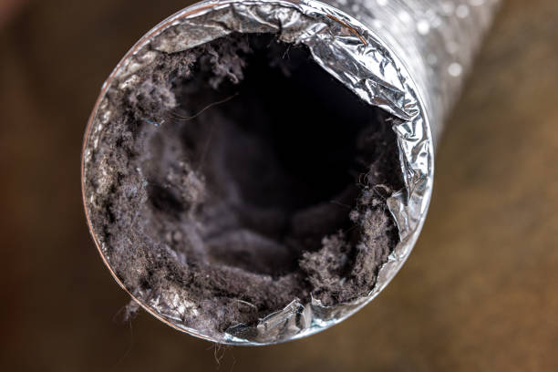 Best Dryer Vent Cleaning Services  in Lake Junaluska, NC