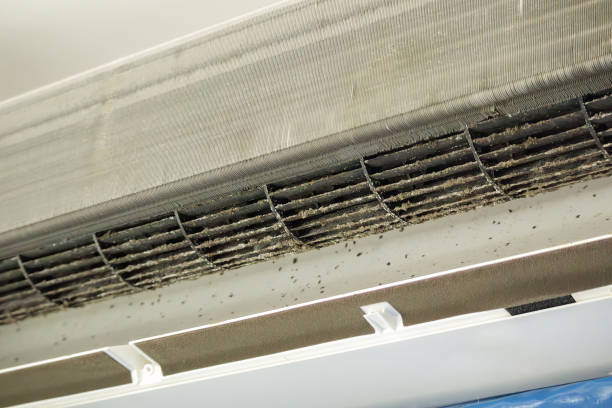 Best Ductwork Cleaning Services  in Lake Junaluska, NC